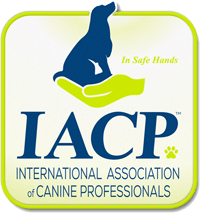 IACP