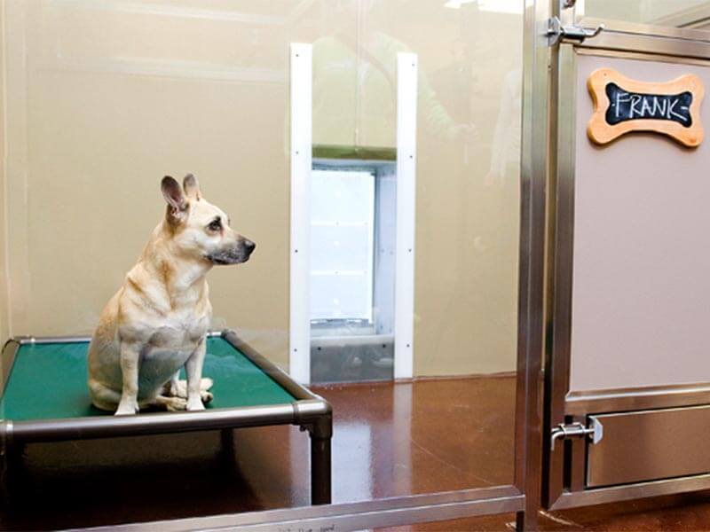 Dog Boarding, Lodging Des Moines, Grimes IA Dogwoods Lodge