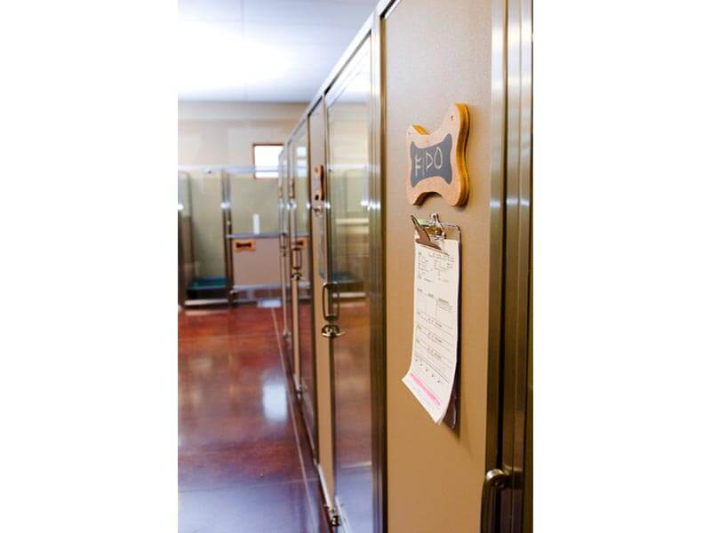 Dog Boarding, Lodging Des Moines, Grimes IA Dogwoods Lodge