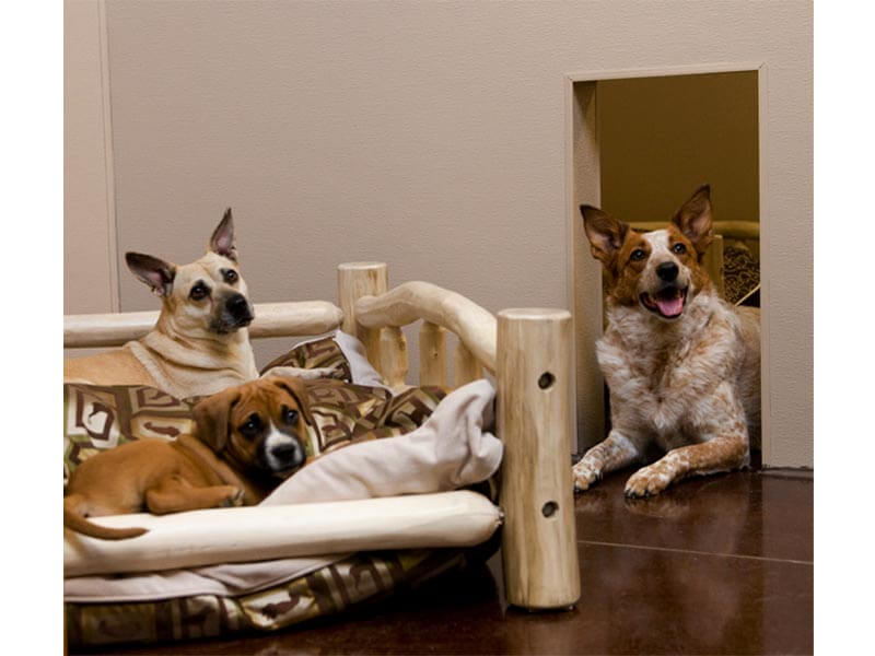 Dog Boarding, Lodging Des Moines, Grimes IA Dogwoods Lodge