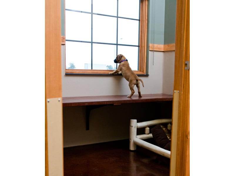 Dog Boarding, Lodging Des Moines, Grimes IA Dogwoods Lodge