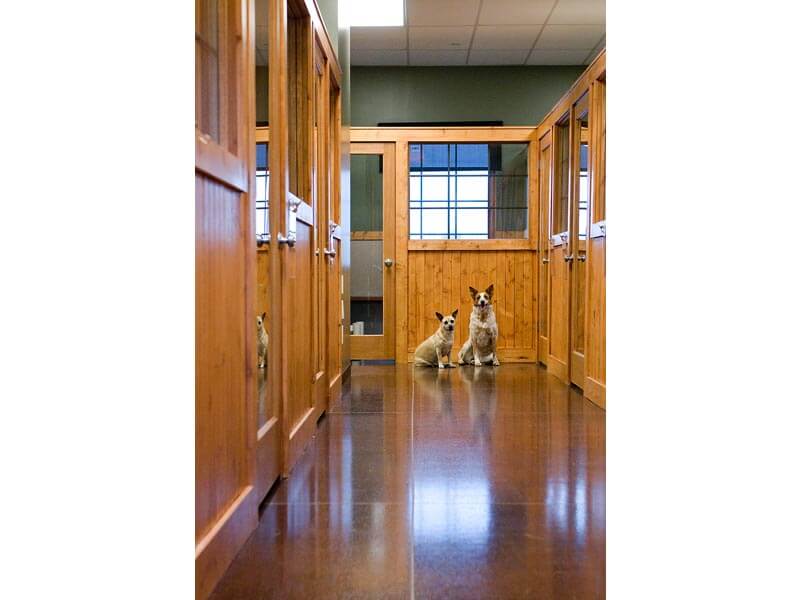 Dog Boarding, Lodging Des Moines, Grimes IA Dogwoods Lodge